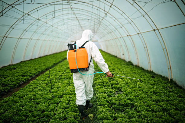 Best Mosquito Control Services  in Morton, IL
