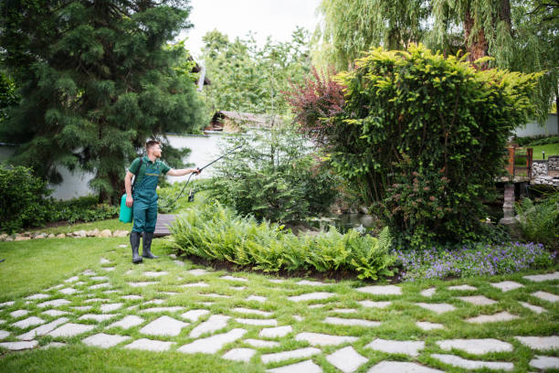 Pest Prevention Services in Morton, IL