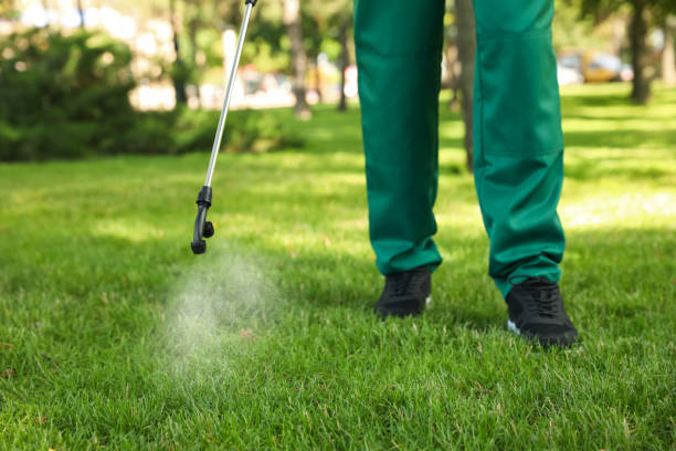 Best Exterminator Services  in Morton, IL