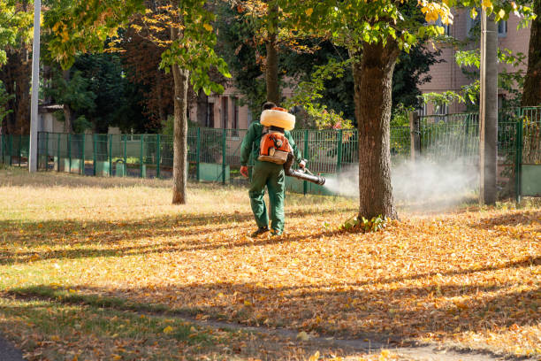 Best Local Pest Control Services  in Morton, IL
