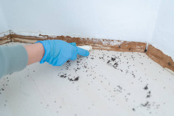 Wildlife Control Services in Morton, IL